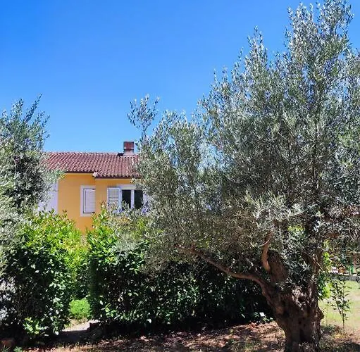 Yellow Submarine - Whole House Villa *