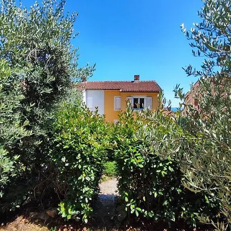 Villa Yellow Submarine - Whole House Premantura